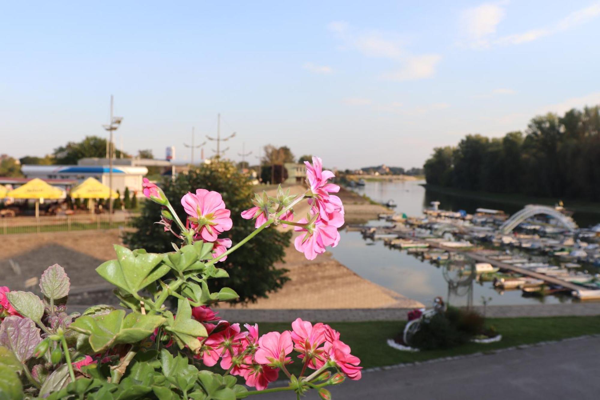 Apartments Marina Апатин Екстер'єр фото